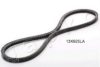 JAPKO 13X925 V-Belt